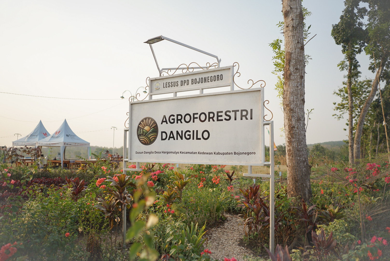 Gerbang Agroforestri Dangilo